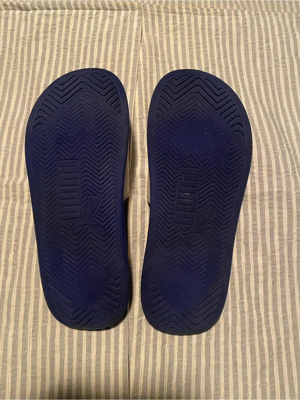 Puma logo blue